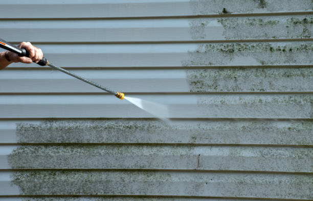 Best Affordable Power Washing  in Nicholson, MS