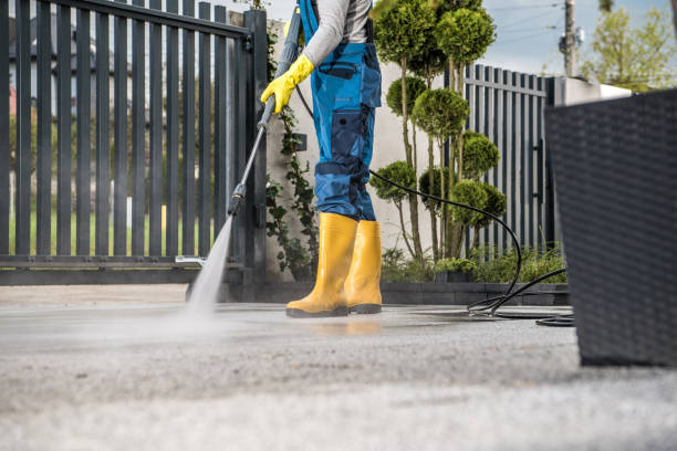 Best Local Pressure Washing Services  in Nicholson, MS