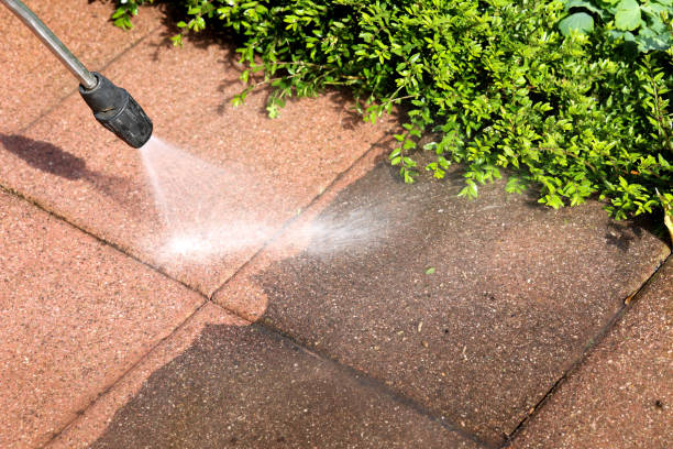 Best Affordable Pressure Washing  in Nicholson, MS